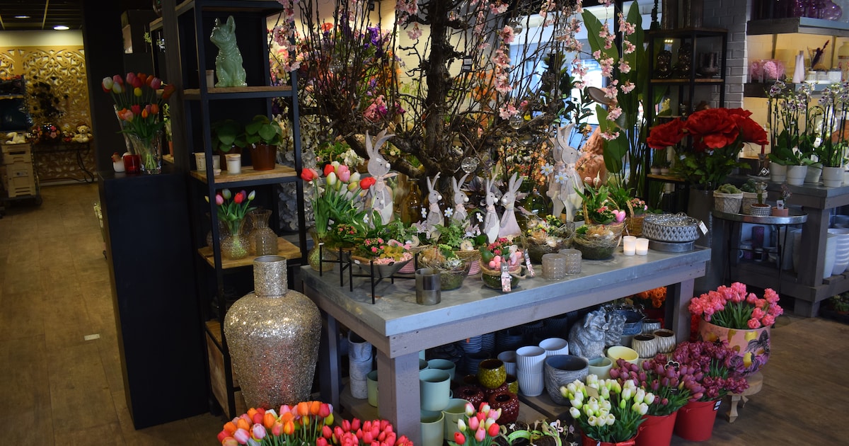 Kleurig en fleurig: 7 bloemenwinkels in Tilburg waar je de lente in huis haalt