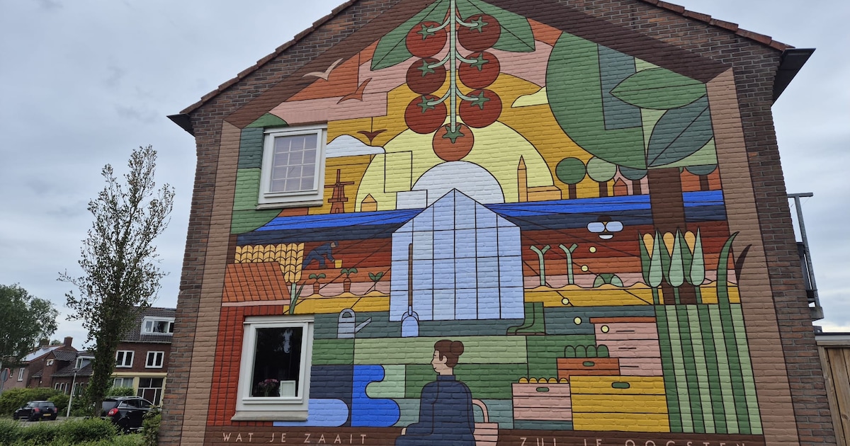 Gespot: nieuwe muurschildering fleurt deze straat in Enschede op