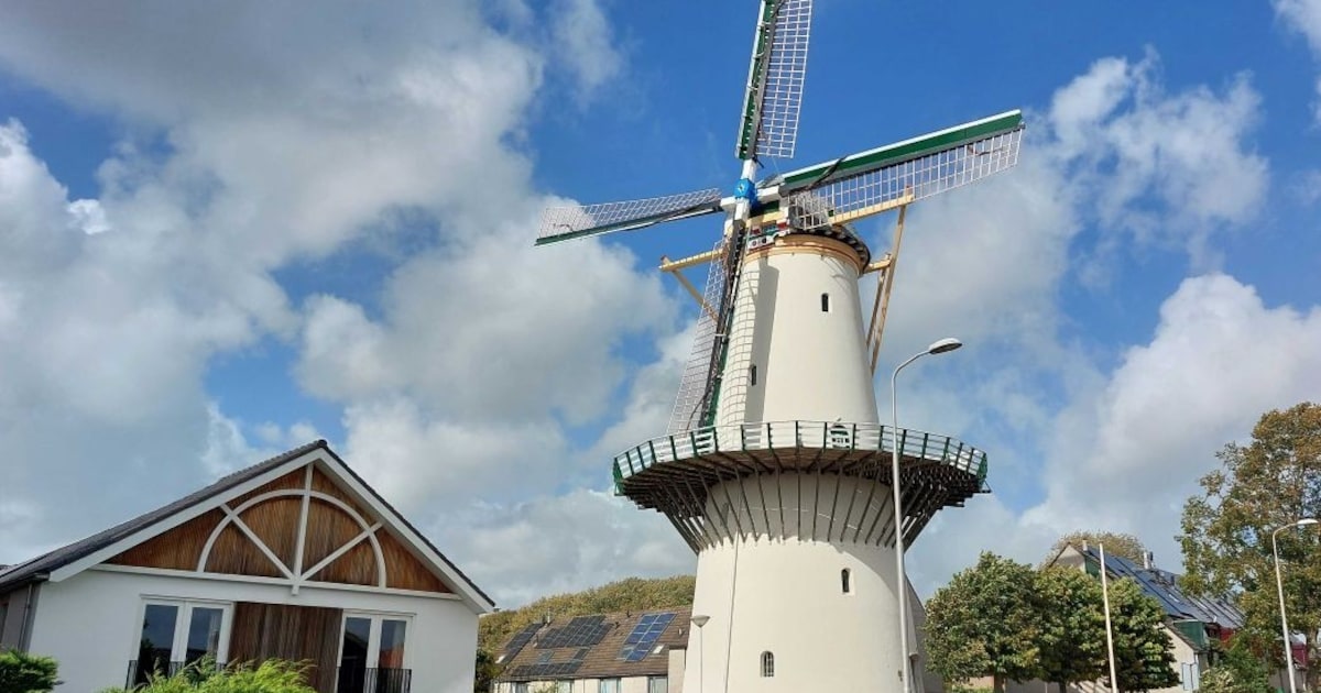 Video: zo kreeg Molen De Hoop in Zoetermeer nieuwe wieken