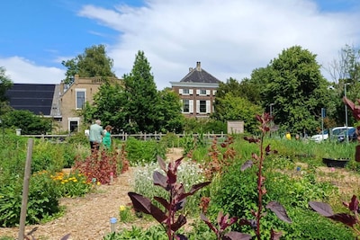 Uittip! Op de Open Akker haal je verse groenten, fruit en bloemen uit Vlaardingen