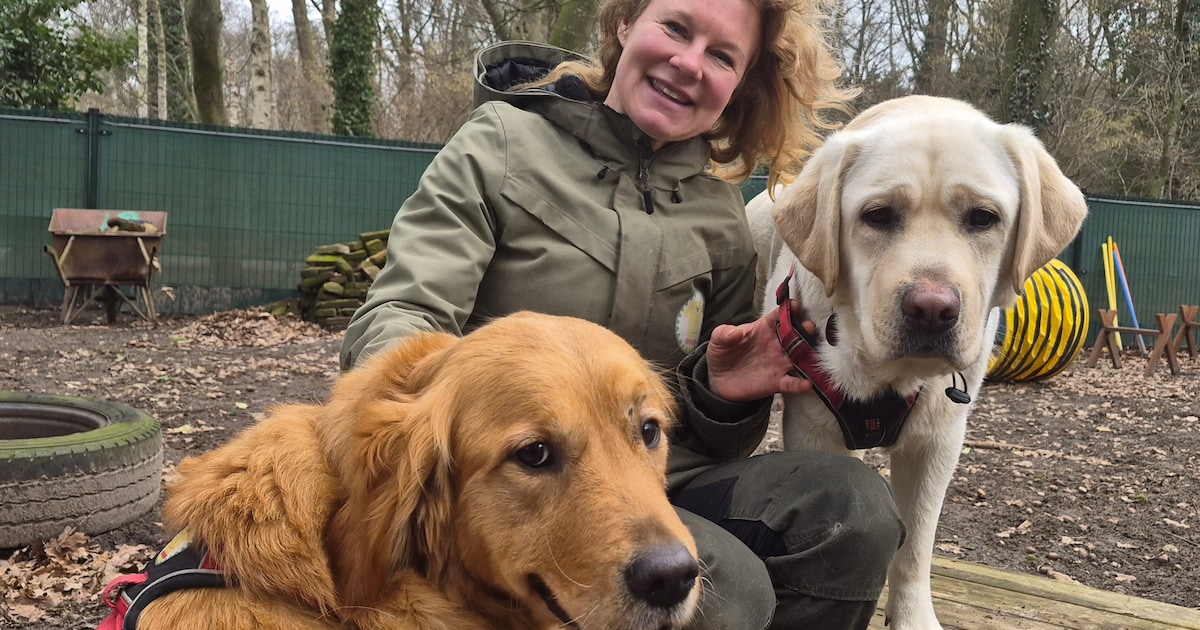 Gigi uit Deventer heeft dertien honden: ‘Zij zijn altijd oprecht blij je te zien’