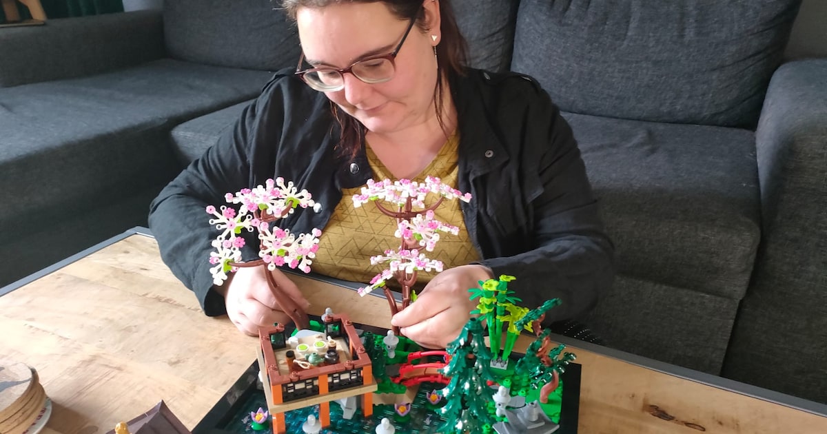 Bouwen, bouwen, bouwen! We zoeken de grootste legoverzamelaars van Amersfoort