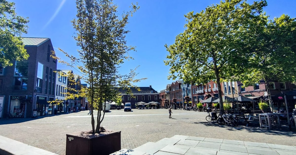 Woerden heeft er een bos bij en de bomen kunnen ‘lopen’