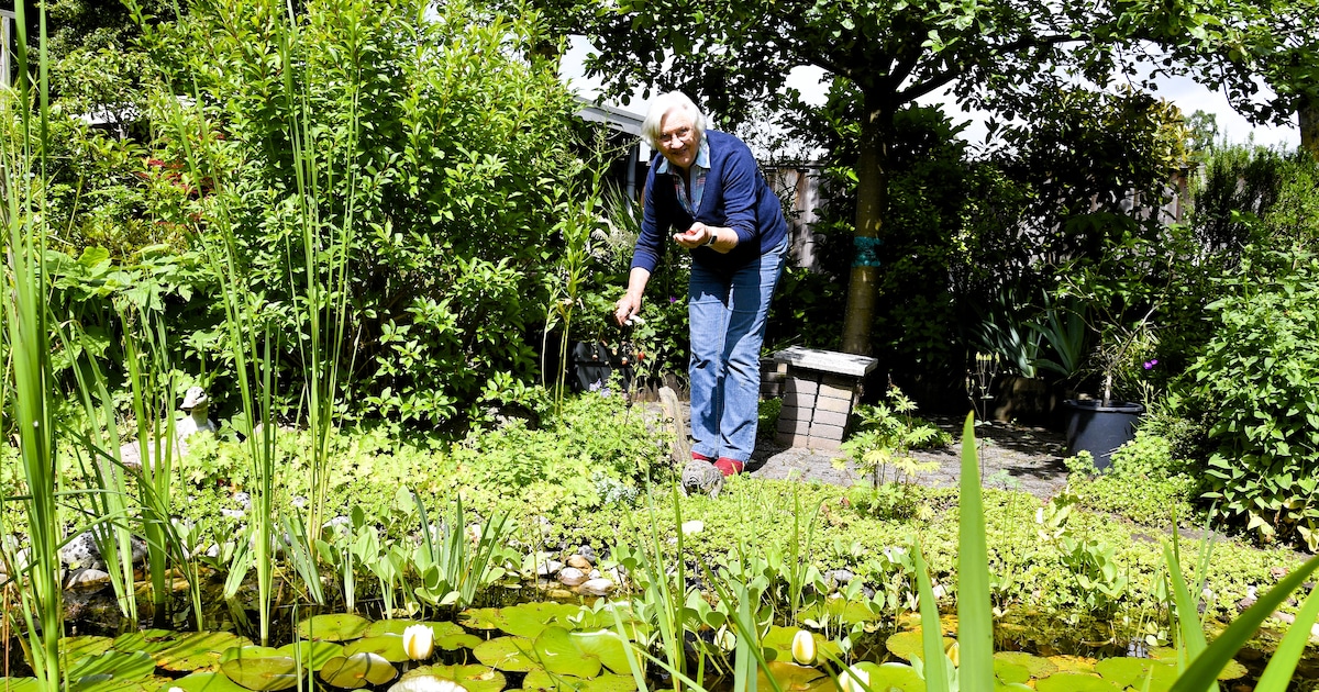 Eigenzinnige Tuinenclub in Hengelo bestaat 20 jaar: ‘Eigenlijk ontstaan uit een soort rebellie’