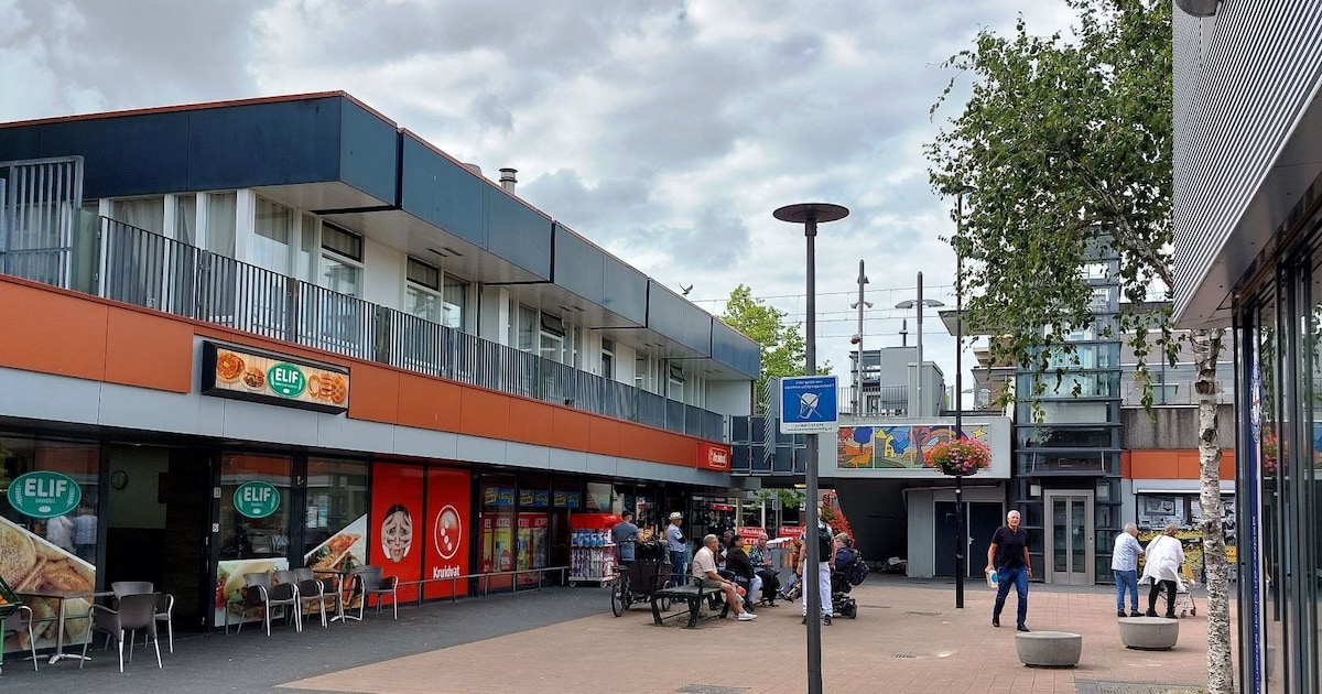 In deze Zoetermeerse wijkwinkelcentra kun je boodschappen doen
