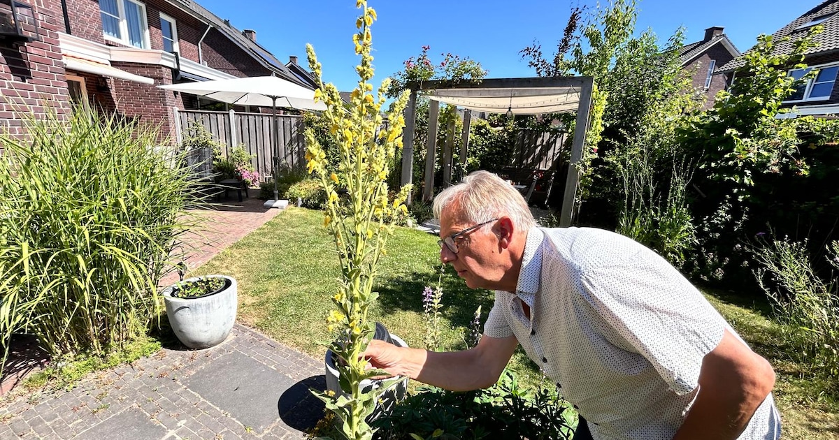 Inspirerend! Apeldoorner Jacob maakte van zijn tuin een natuurwalhalla