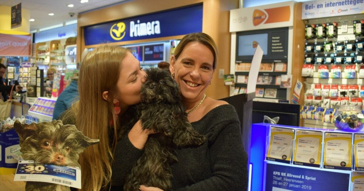 Balou is de Arnhemse Frekkel: 'Haar grote hobby is slapen' | Regio ...