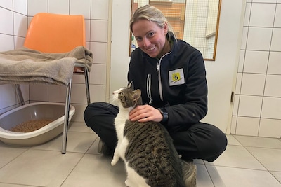 Stilte voor de storm: het kittenseizoen start bijna en dat is minder schattig dan het klinkt