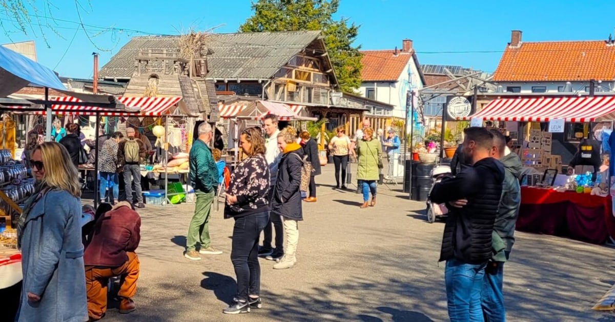Zin in een leuk uitje? Stek pakt uit met een zwoele zomermarkt