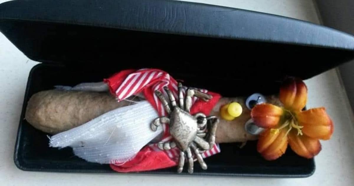 Waarom ook niet: op pad met een verklede frikandel