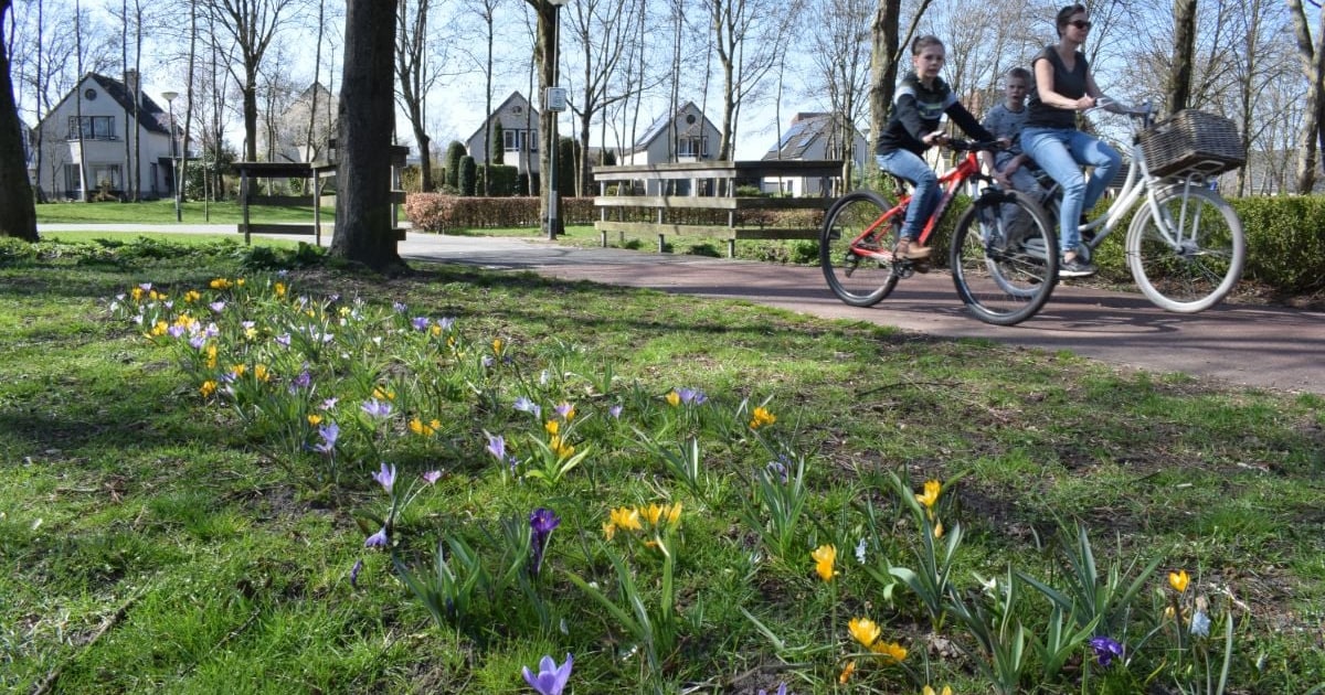 Naar buiten of binnenblijven? Zo check je hoeveel pollen er in de Apeldoornse lucht zweven vandaag