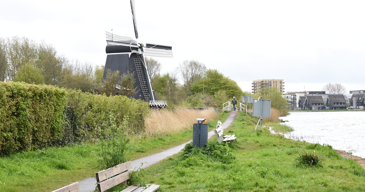 Bij deze molens in Haarlem mag je binnenkort zelf binnenkijken
