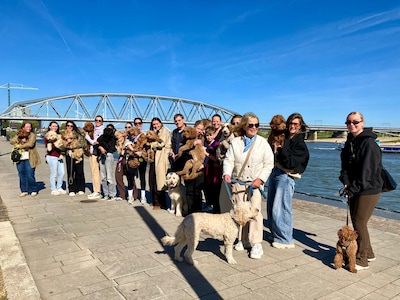 Labradoodles langs de Waal, programma Bevrijdingsdag en meer nieuwtjes van deze week