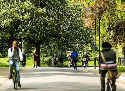 Figureren in het Noorderplantsoen? Voor de film Happy Days zoeken ze mensen in Groningen