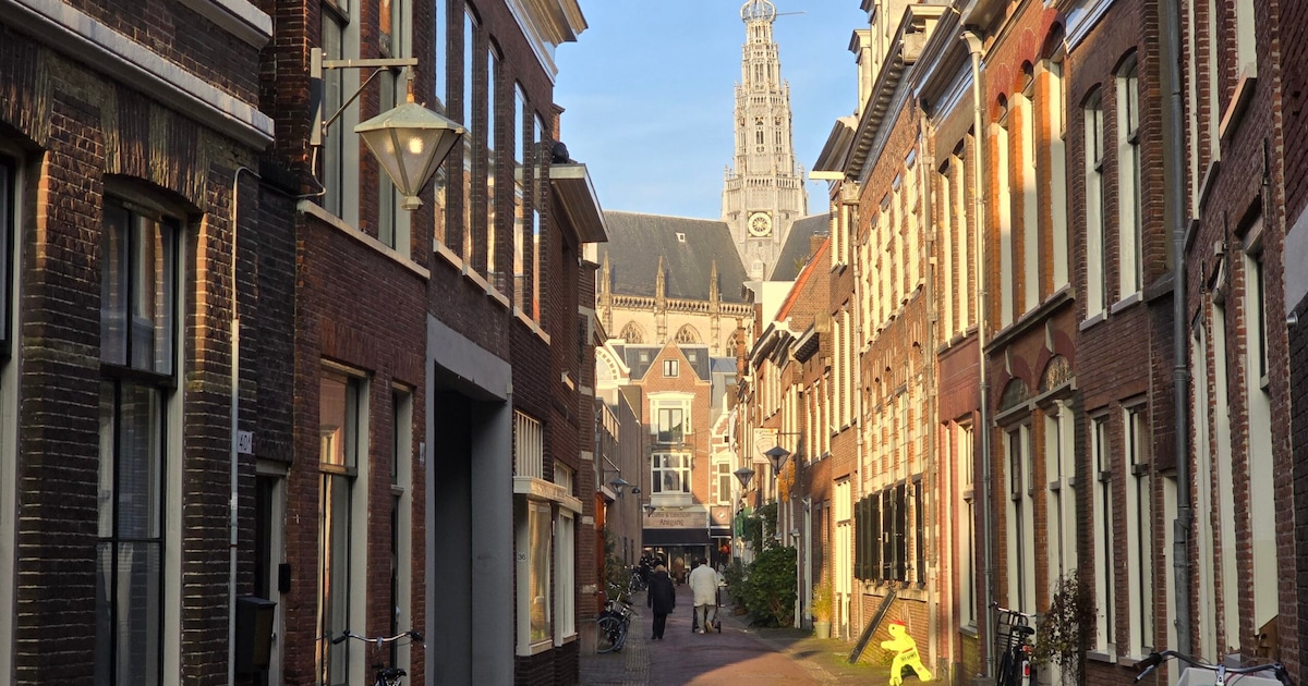 Indebuurt Haarlem weer genomineerd voor Website van het Jaar: zo help je ons winnen