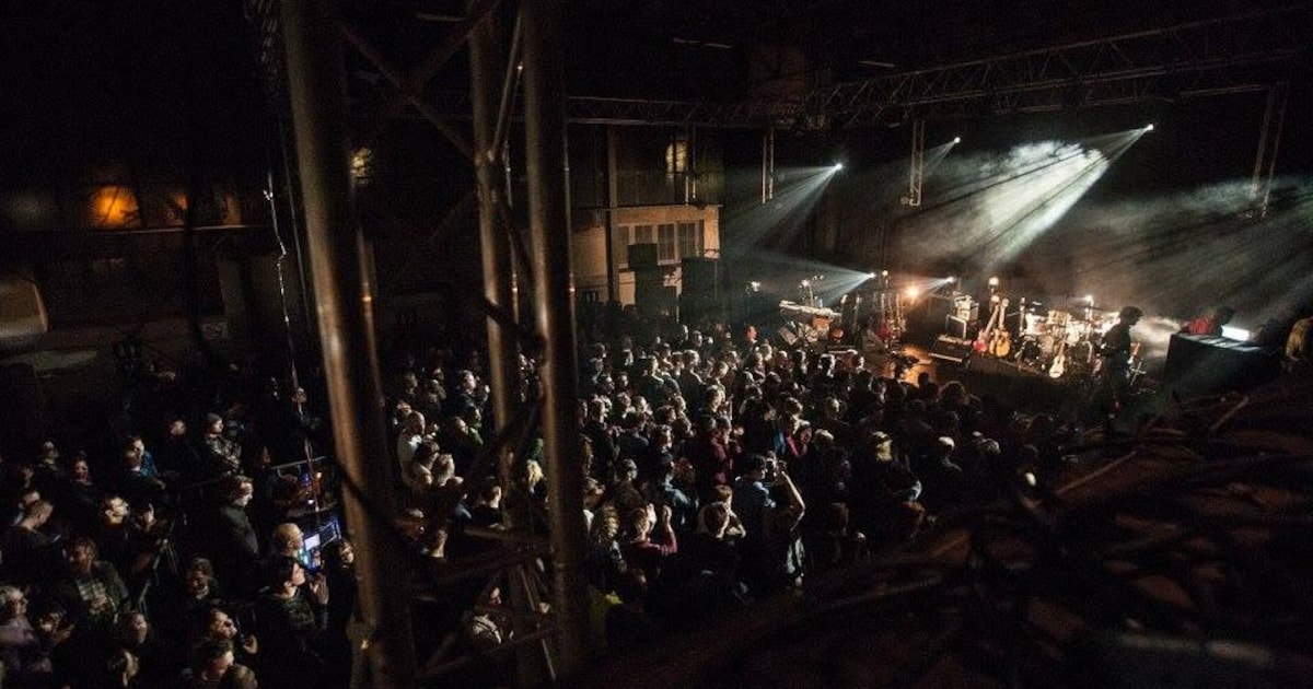 Gigant gaat concerten organiseren op Zwitsalterrein