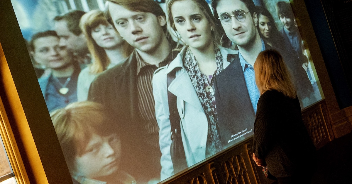Harry Potter-fans opgelet: in deze Vlissingse bioscoop zie je in één weekend alle films