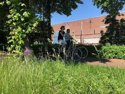 Wel of geen niesaanval als je naar buiten gaat: check hier hoeveel pollen in de Delftse lucht zweven