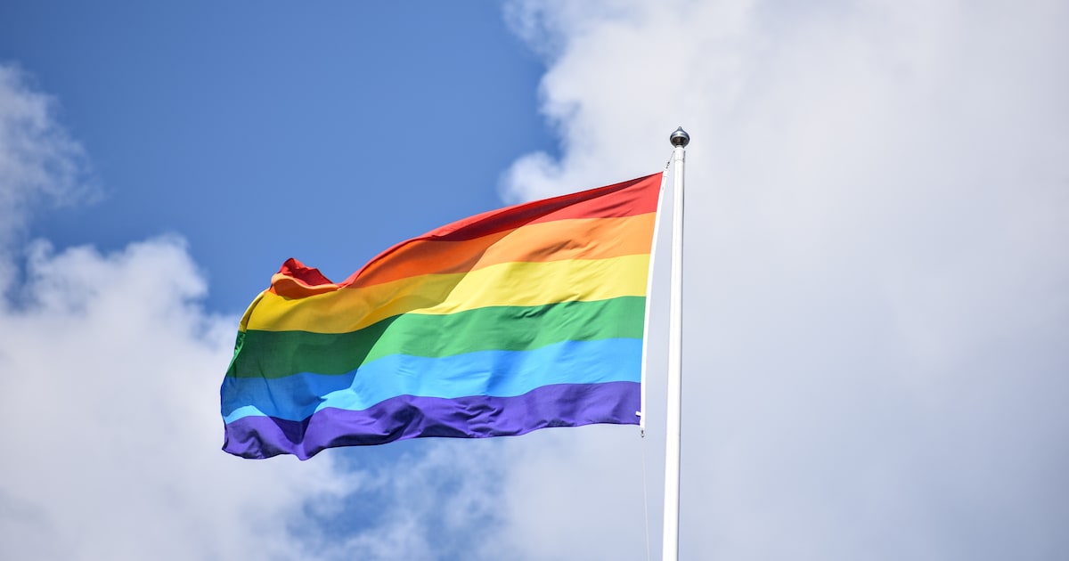 Hengelo kleurt paars tijdens Coming Out Day: dit is er te doen