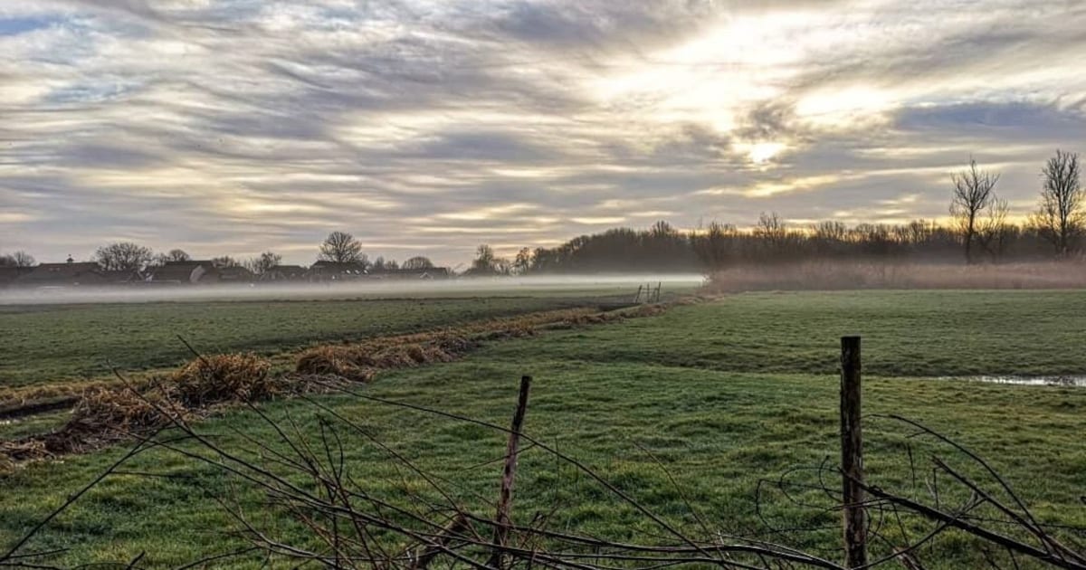 Hup, de natuur in! 5 x mooie natuurgebieden in en rondom Delft