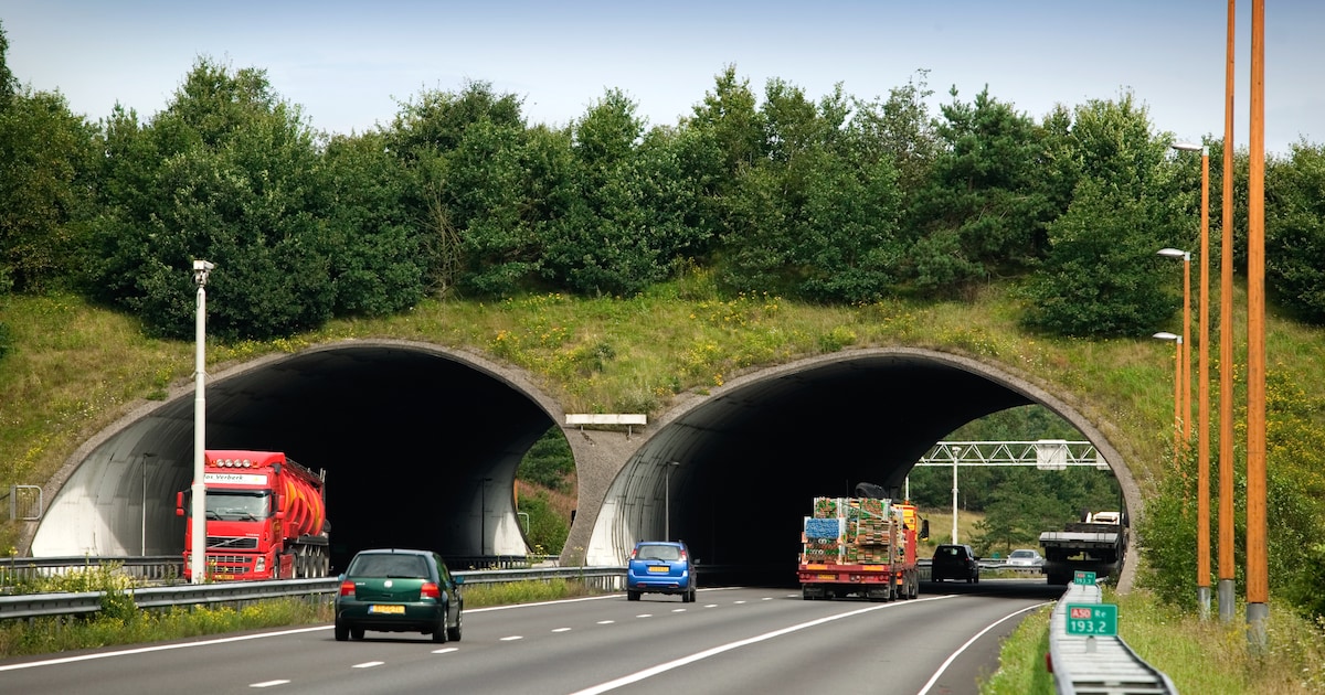 De A50 tussen Apeldoorn en Arnhem gaat dicht en dat kost je tot 3 kwartier extra reistijd