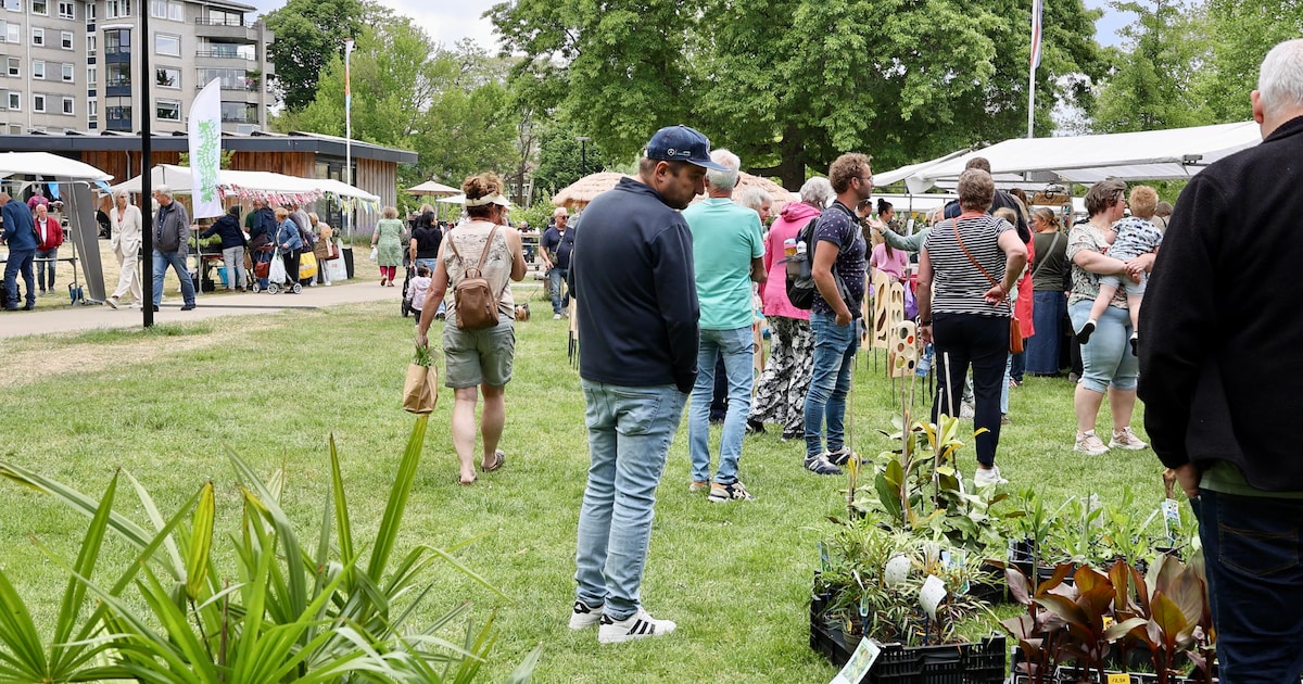 Leuke dingen doen! Uittips in Almelo op 15, 16 en 17 mei