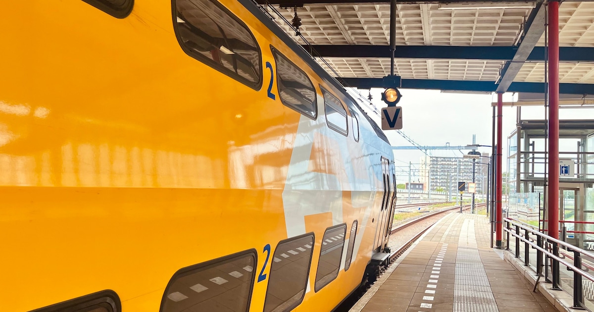 Let op: eind juli geen treinen tussen Schiedam Centrum en Den Haag HS