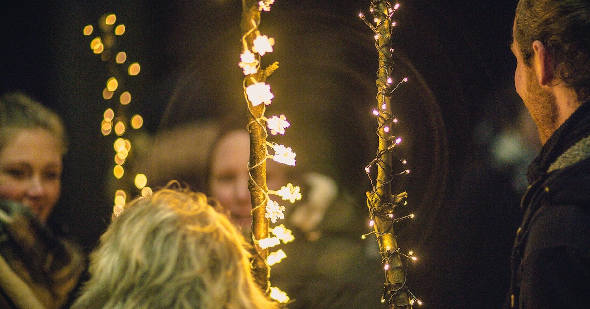 4 x uittips in Hengelo: van lichtjesparade tot dansshow (13-15 feb)