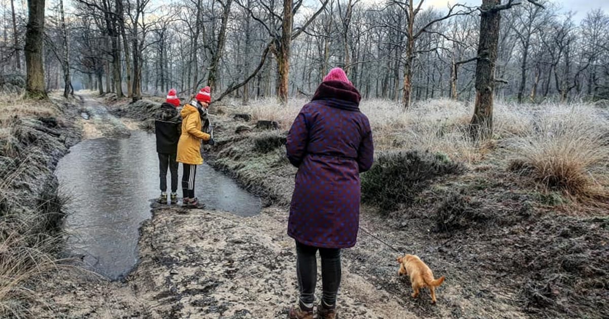 Deze winterwandeling vlak bij Schiedam tipt de ANWB