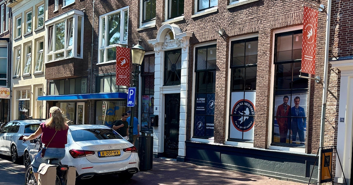 A Fish Named Fred, Kamp 24 (binnenstad)