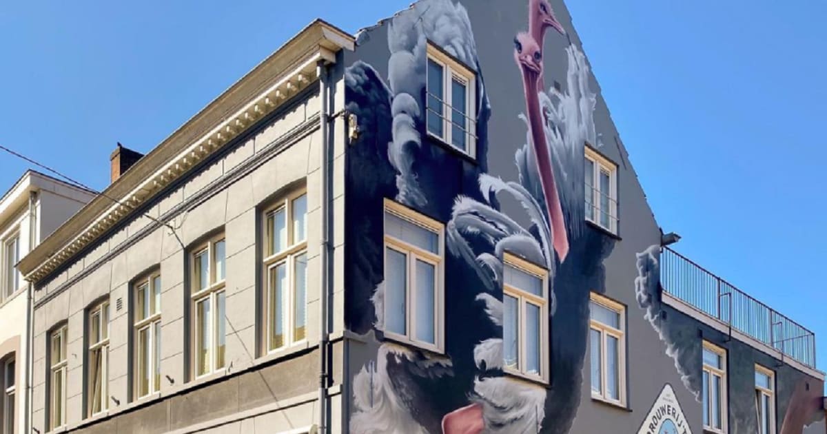 Dierendagdate: deze gratis streetartwandeling door Tilburg