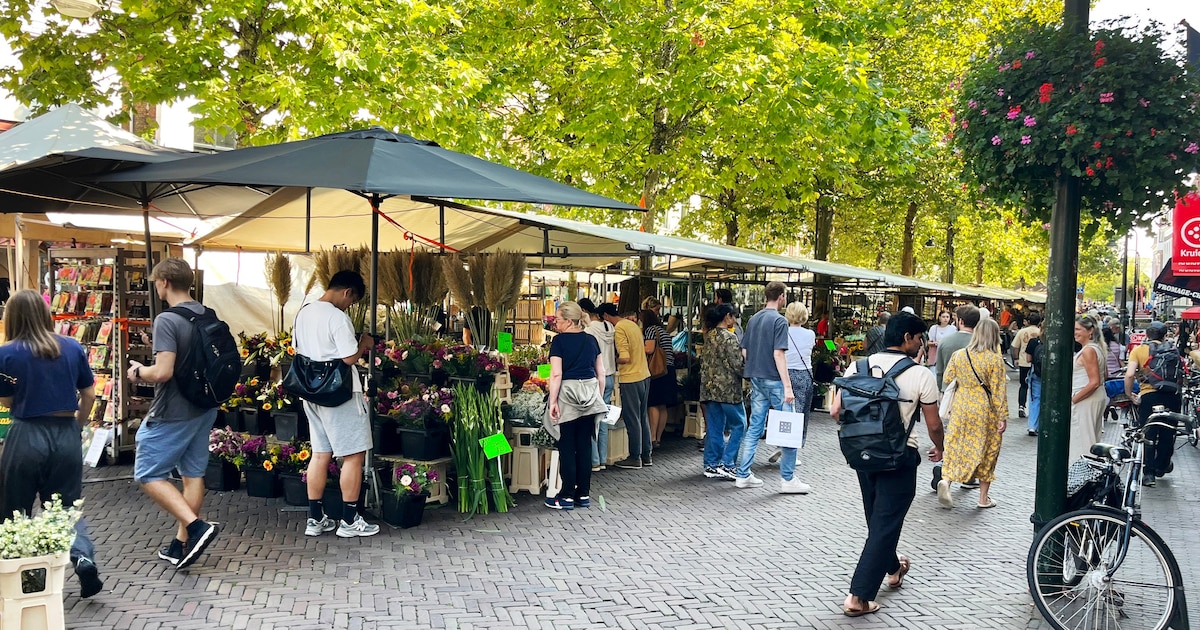 Donderdag is de markt in Delft op een andere plek: hier moet je zijn