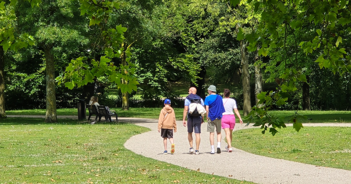 Weekendtips: deze dingen doe je in Haarlem (12-14 juni)