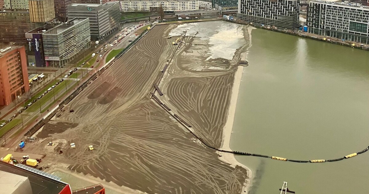 Wow! De Rijnhaven transformeert langzaam tot stadsstrand | Regio ...