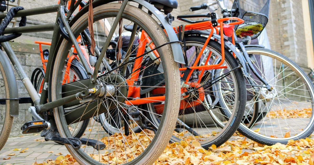 Fietsie foetsie! Zoveel fietsen werden vorig jaar gejat in Haarlem