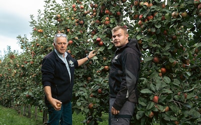 Appels en peren vergelijken: op deze datum koop je ze voor een prikkie in Groningen