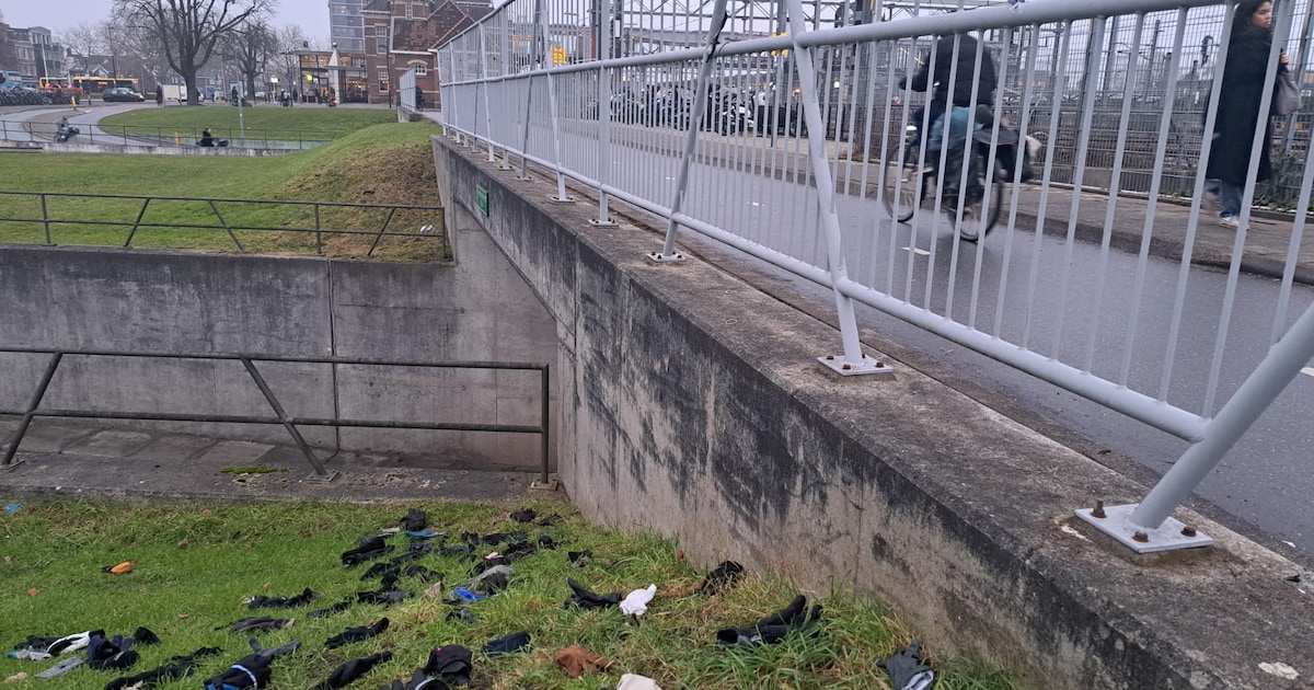 Alles in het gras! Wat is er aan de handschoen bij het station?