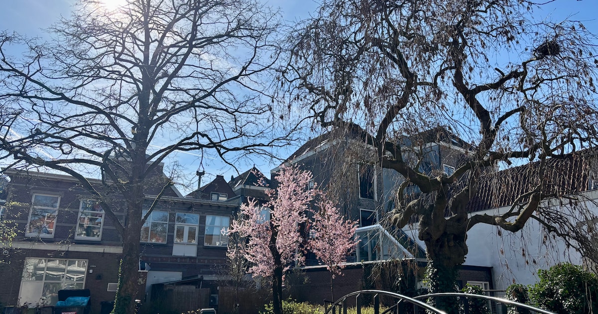 Weekendtips: deze dingen doe je in Gouda (1-3 mei)