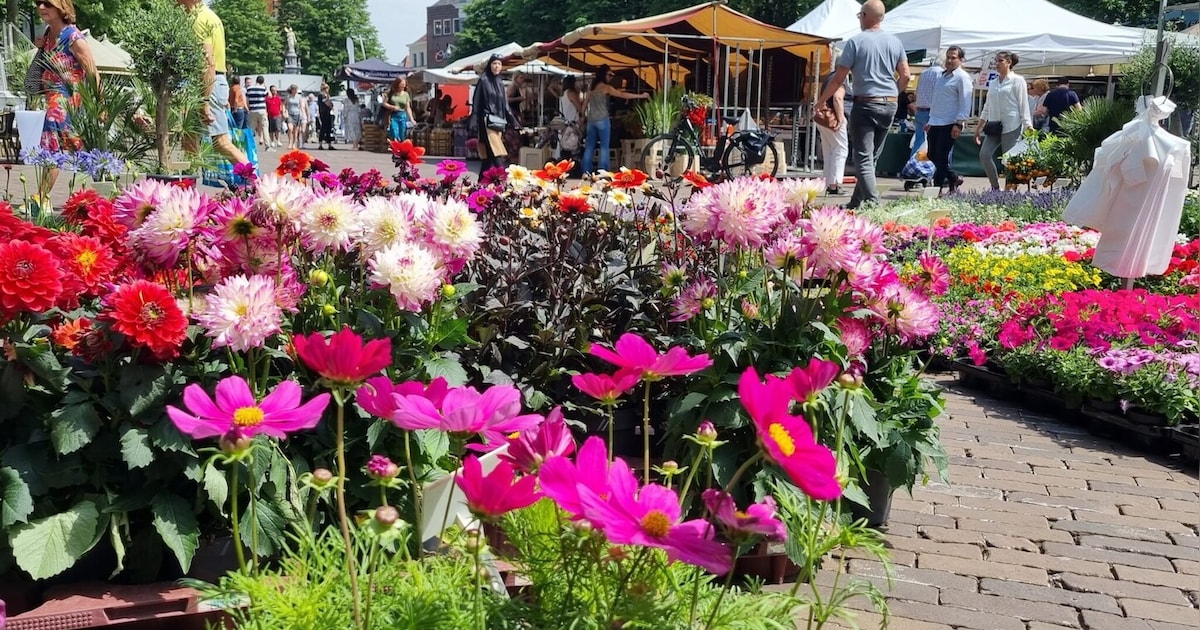 Keer hier om: op deze plek vind je de markt tijdens de Deventer Zomerkermis