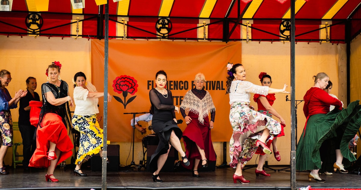 Weekendtips: deze dingen doe je in Rotterdam (12-14 juni)