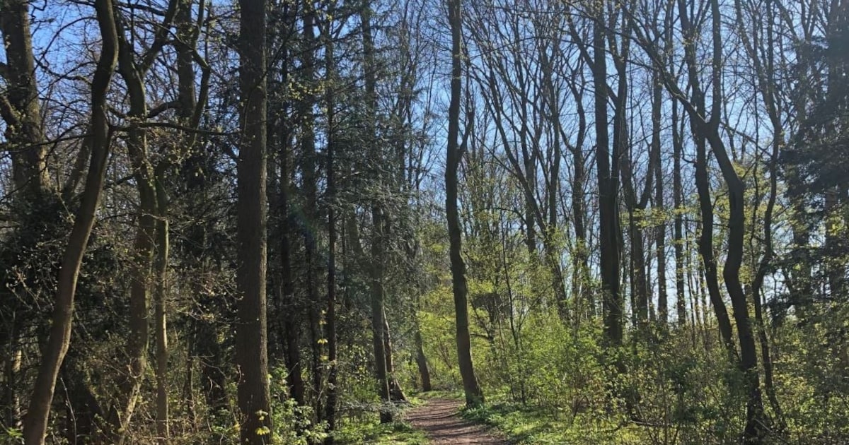 Hup, de natuur in! 5 x mooie natuurgebieden in en rondom Amsterdam