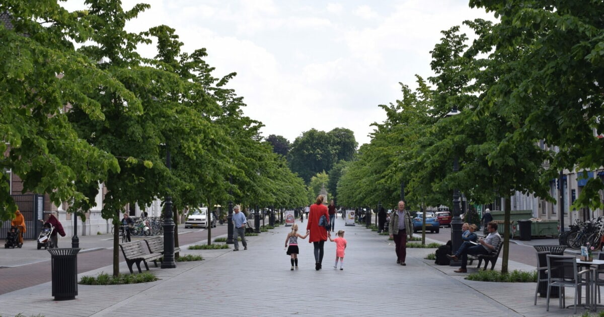 Indebuurt Breda weer genomineerd voor Website van het Jaar: zo help je ons winnen