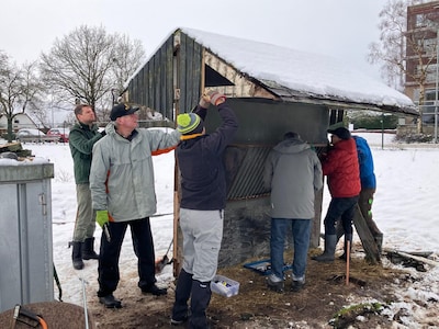 Van grasspriet tot stal: het vernieuwde hertenkamp gaat weer open
