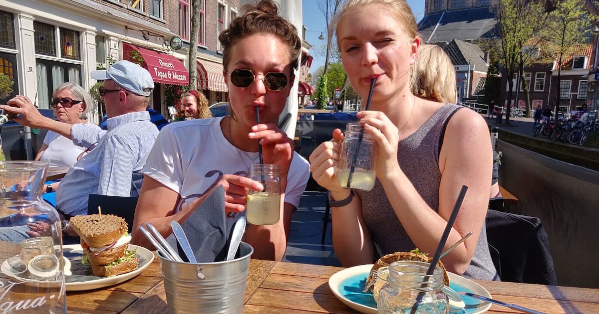 Zin in iets fris? 6 x hier drink je huisgemaakte ijsthee in Delft