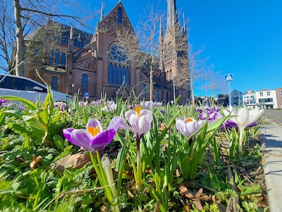 Zachter dan normaal: dit is de weersverwachting voor Woerden in april