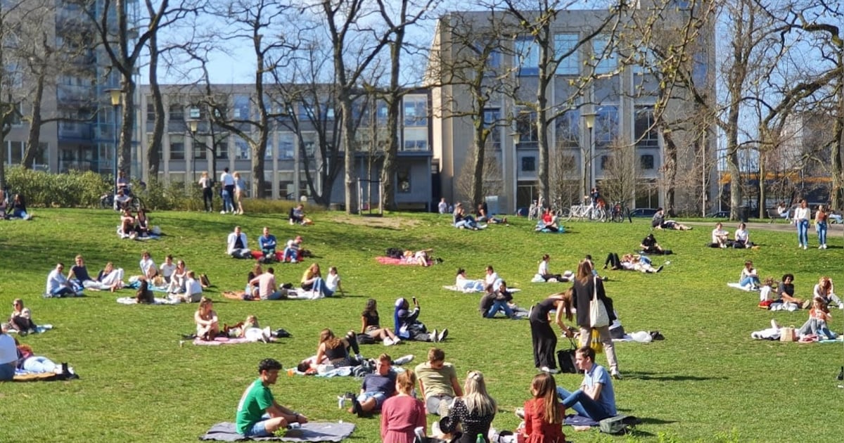 Weekendtips: deze dingen doe je in Nijmegen (29-31 mei)