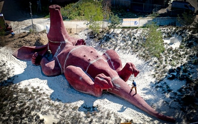 Feestaardvarken keert voor de zomer terug in Arnhem, maar helemaal zeker is dat nog niet
