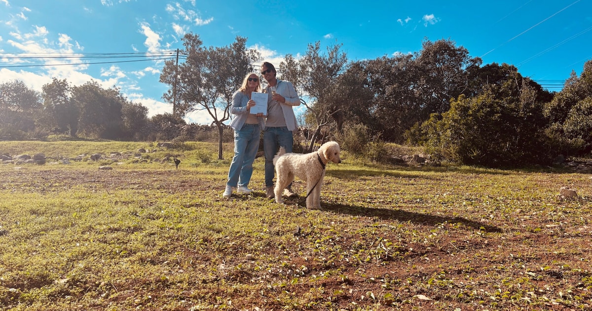 Oproep! indebuurt zoekt Haarlemmers die naar het buitenland zijn verhuisd