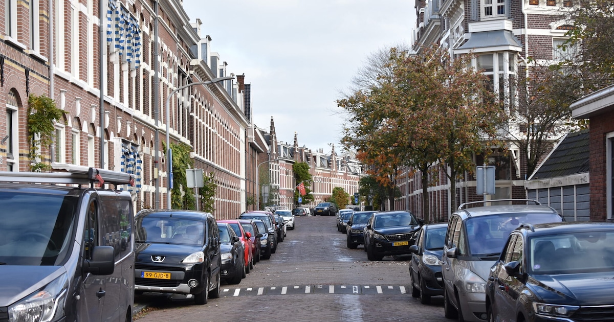 Wegwerkzaamheden in Haarlem: houd hier rekening mee deze week (1 juni - 8 juni)