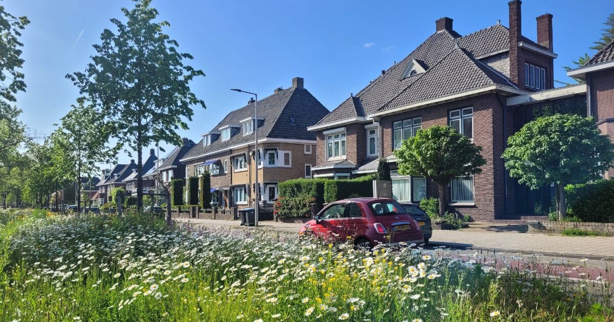 Singelloop 2024: mijd op deze momenten de Enschedese singels met de ...